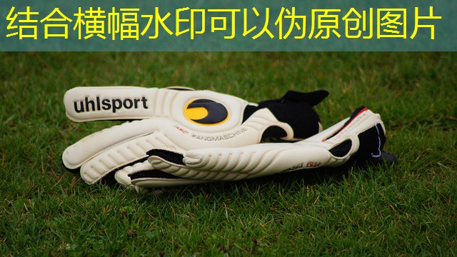 rivalo qual o melhor jogo do cassino para se apostar