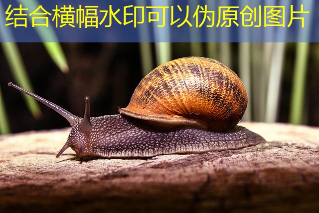 jogos para cassino matemativo jogos para cassino matemativo