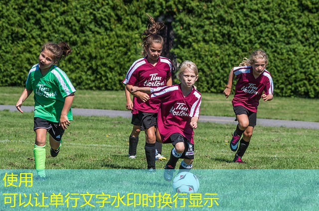 jogos de bingo cassino brasil