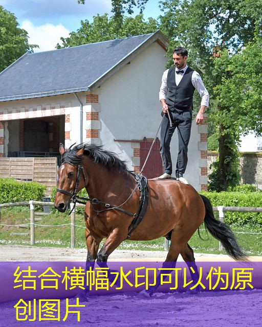 jogo mais facil do cassino