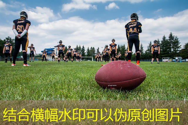 qual melhor cassino para jogar fortune tiger qual melhor cassino para jogar fortune tiger