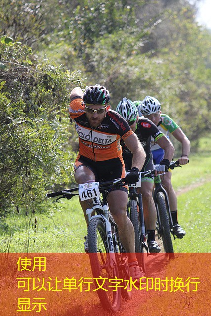 jogo de apostas cassino