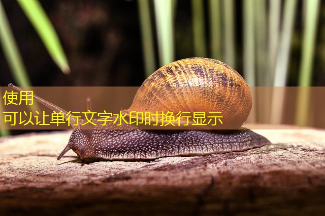 jogar em cassino clandestino crime