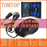 demo slot pg soft wild ape